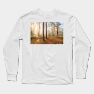 Foggy morning sun light forest Long Sleeve T-Shirt